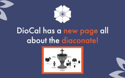 A page to help you learn all about the diaconate!