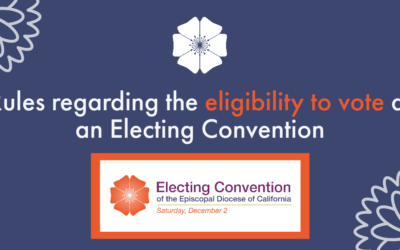 Eligibility to vote in the Electing Convention is determined by the Constitution and Canons of the Diocese of California